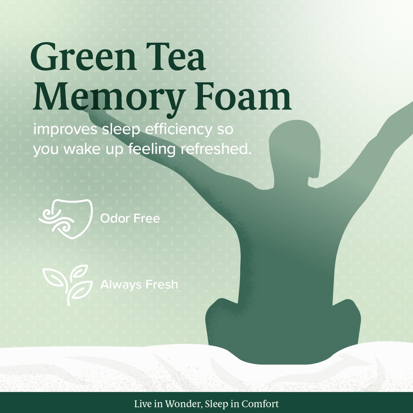 Tilam Zinus Therapeutic Zero Motion Transfer Green Tea Memory Foam Mattress 6"